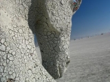 Burningman_0105