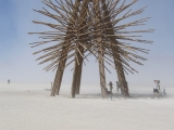 Burning-Man-2006-Bamboo-structure