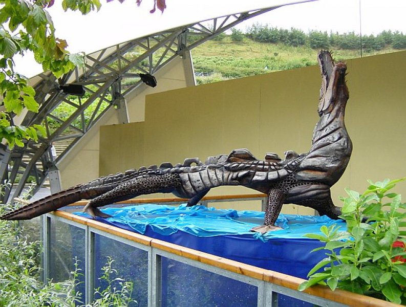 Crocodile_-_geograph.org.uk_-_65591