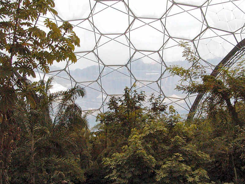 Eden_Hexagonal_Structure