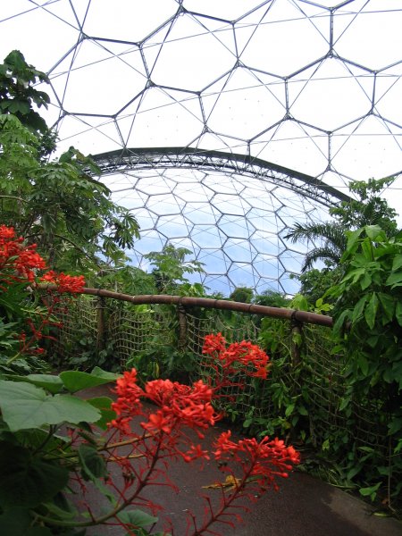 Eden_project3