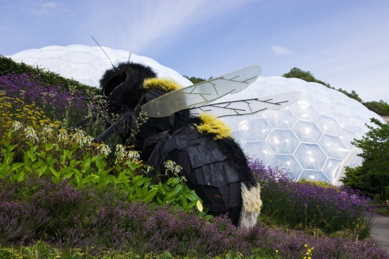 Giant_Bee_Eden_Project