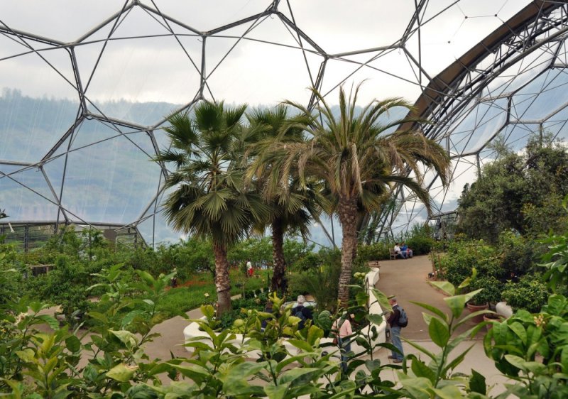 Interior_of_Mediterranean_biome,_Eden_Project