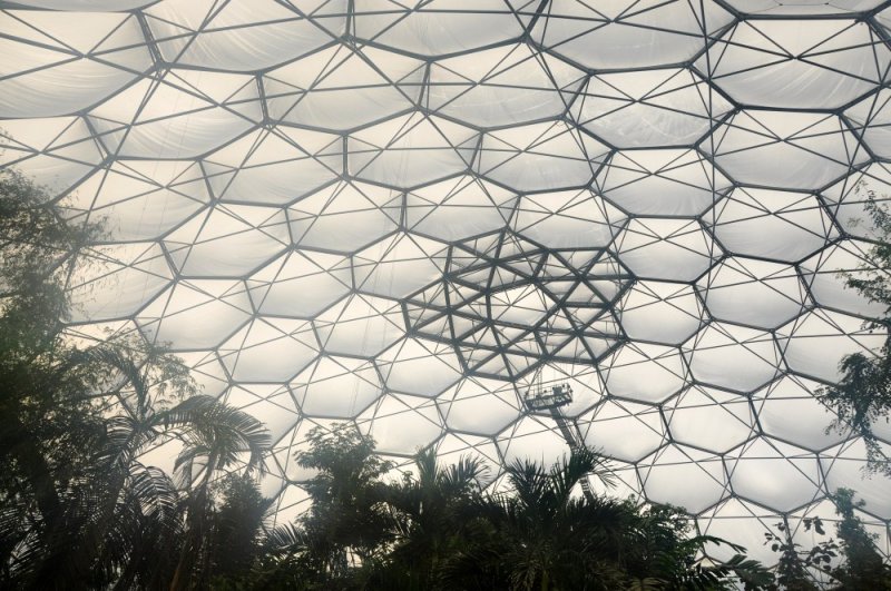 Interior_of_tropical_biome,_Eden_Project