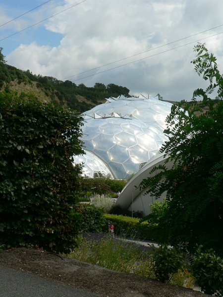 Warm_Temperate_Biome,_Eden_Project_-_geograph.org.uk_-_230296