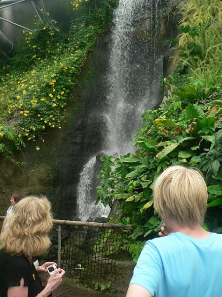 Waterfall,_Humid_Tropics_Biome,_Eden_Project_-_geograph.org.uk_-_230294