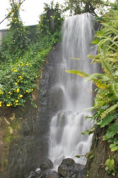 Waterfall_in_the_Eden_Project