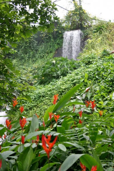 Waterfall_in_the_Eden_Project_1