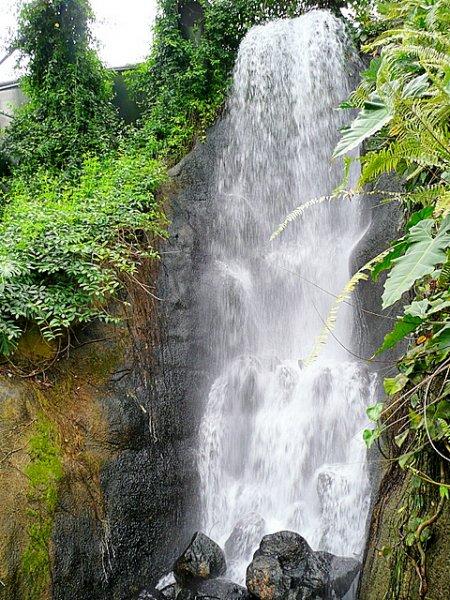 Waterfall_in_the_Tropical_Biome_at_Eden_-_geograph.org.uk_-_1240271