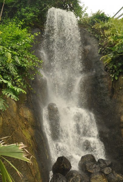 Waterfall_in_tropical_biome,_Eden_Project