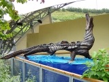 Crocodile_-_geograph.org.uk_-_65591