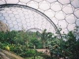 Eden_project_tropical_biome