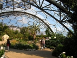The_Hot,_Dry_Biome,_Eden_Project_-_geograph.org.uk_-_219410