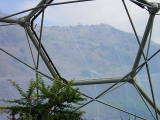 Through_the_roof_-_geograph.org.uk_-_65575