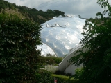 Warm_Temperate_Biome,_Eden_Project_-_geograph.org.uk_-_230296