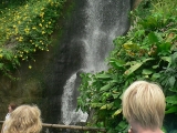 Waterfall,_Humid_Tropics_Biome,_Eden_Project_-_geograph.org.uk_-_230294