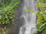 Waterfall_in_the_Eden_Project