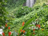 Waterfall_in_the_Eden_Project_1