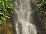 Waterfall_in_tropical_biome,_Eden_Project