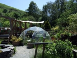 Geodesic_dome_greenhouse_-_geograph.org.uk_-_852751