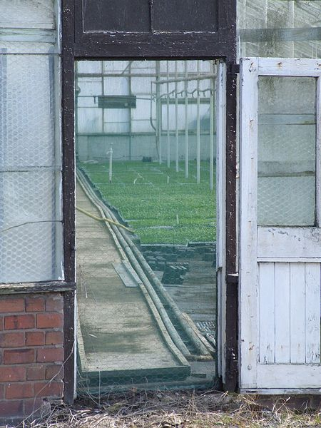 glasshouse_crops_5