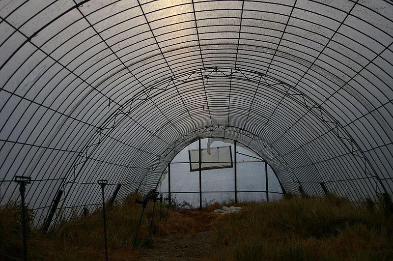 greenhouse-4