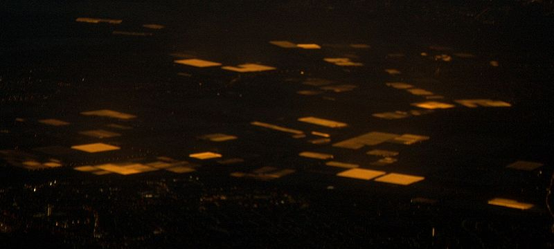 greenhouses_holland