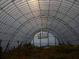 greenhouse-4