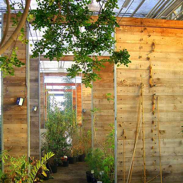 modern_greenhouse