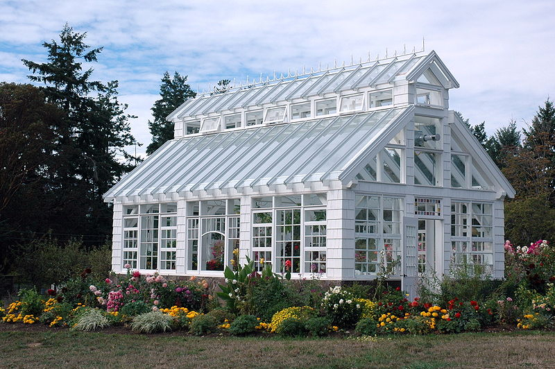 starling_lane_winery_greenhouse