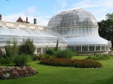 palm_house_botanic_garden_belfast