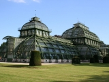 schloss_schonbrunn_palmenhaus