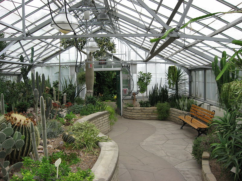 allan_gardens_cactus_room