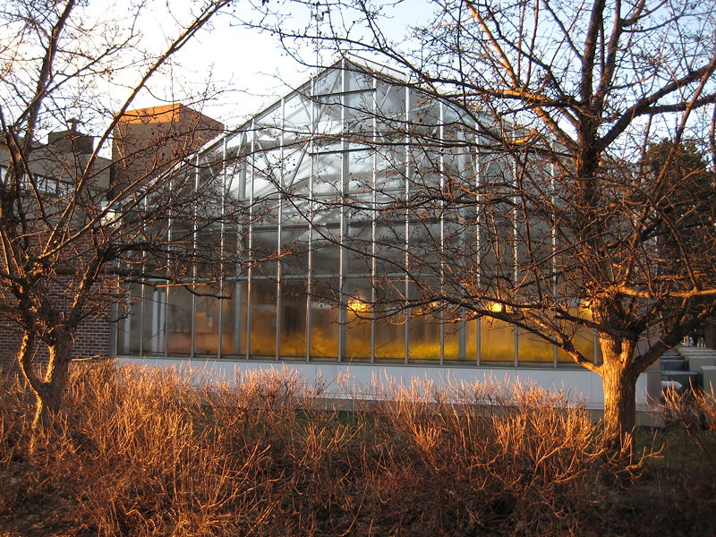 farquharson_life_sciences_greenhouse