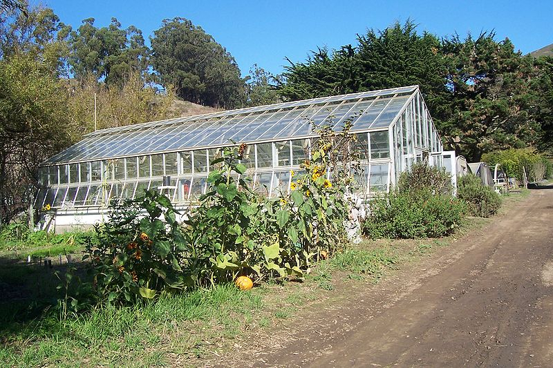 greenhouse-2
