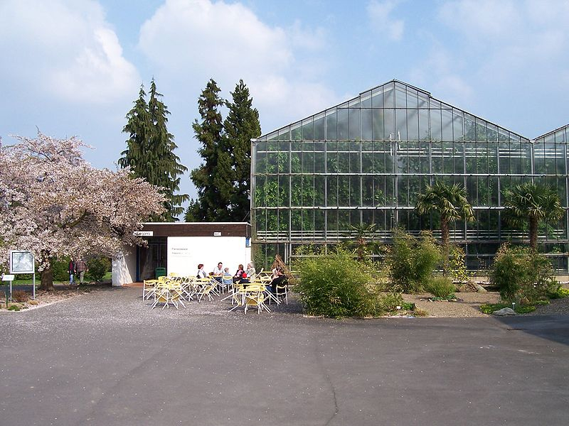 neuer_botanischer_garten_-_gewachshaus