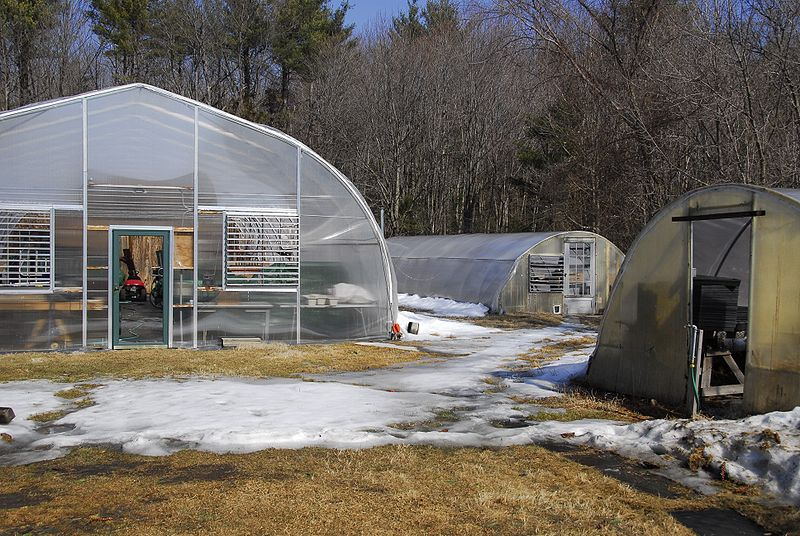 spring_greenhouses