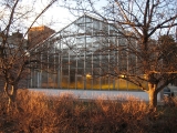 farquharson_life_sciences_greenhouse