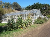 greenhouse-2