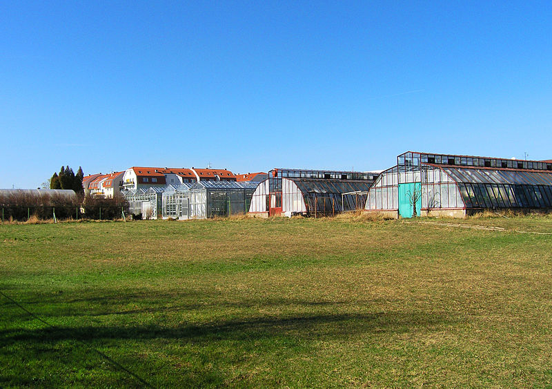 university_of_life_sciences_prague