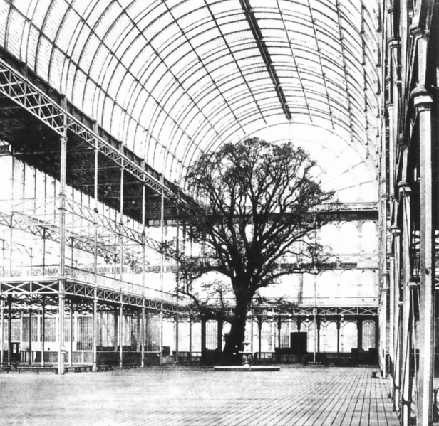 crystal_palace_great_exhibition_tree_1851