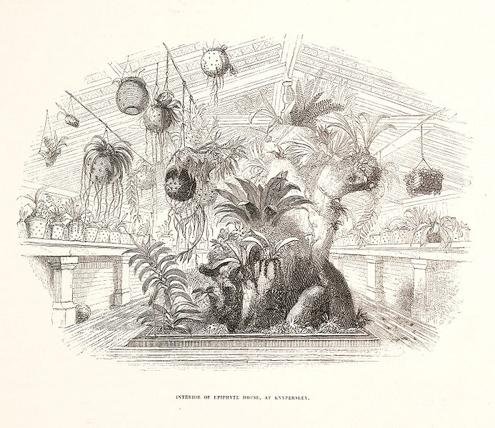 epiphyte_house_at_knypersley-mex-_1837