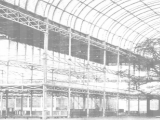 crystal_palace_great_exhibition_tree_1851