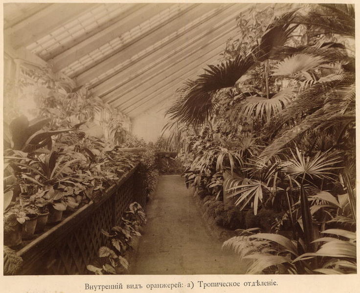 tropical_section_of_a_greenhouse