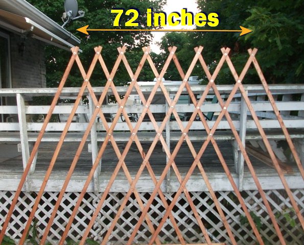 12 inches  of yurt lattice or khana becomes 6 feet