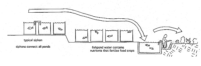 cape_cod_ark_hanbook_29