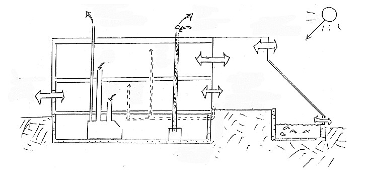 cape_cod_ark_hanbook_33