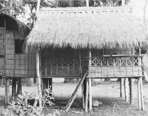 Bamboo house as a skeletal building