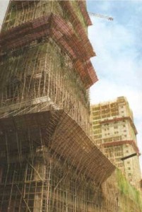 Bamboo canes used for scaffoldings