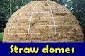 Geodesic straw dome